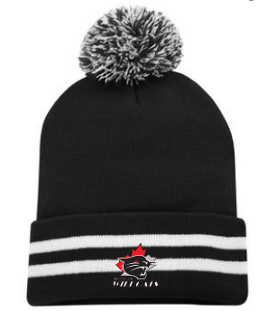 PomPom Toque